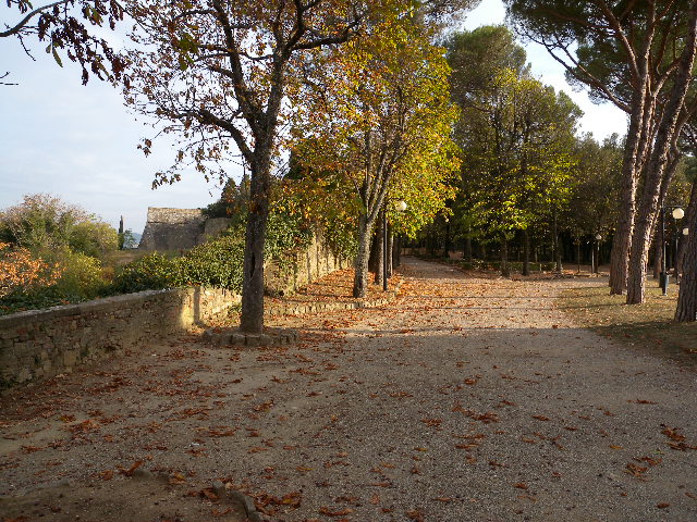 The photo